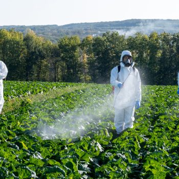 farmers-spraying-pesticide-field-mask-harvest-protective-chemical