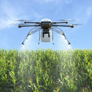 Drone spraying fertilizer on corn fields, Agriculture technology, Farm automation. 3D illustration